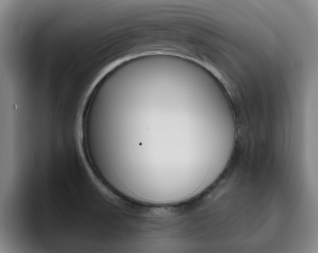 X0000093101523200709260918