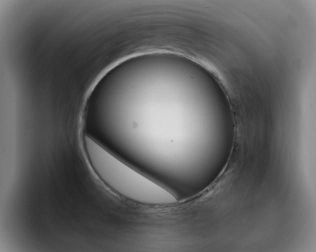 X0000093101524200709260918