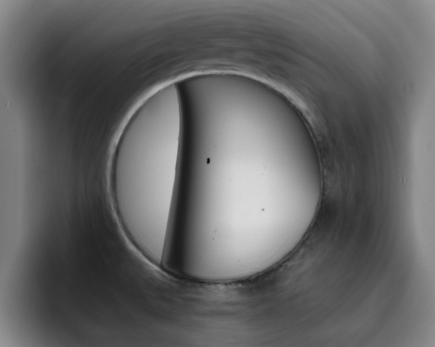 X0000093101527200709260918