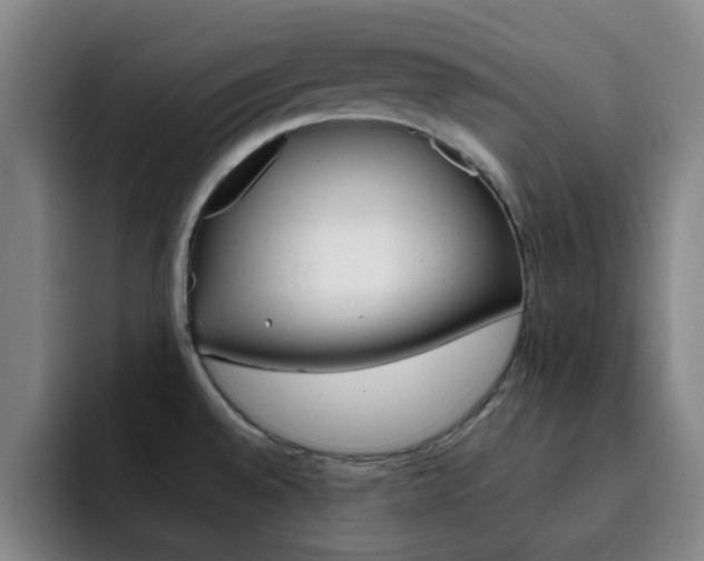 X0000093101528200709260918