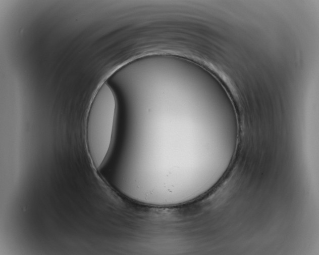 X0000093101529200709260918