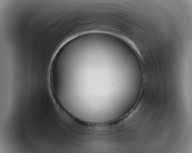 X0000093101530200709260918