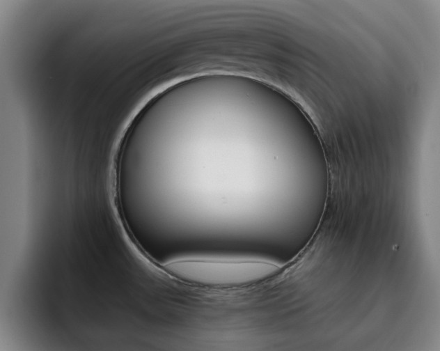 X0000093101531200709260918