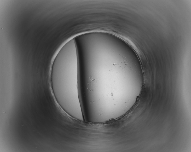 X0000093101532200709260918