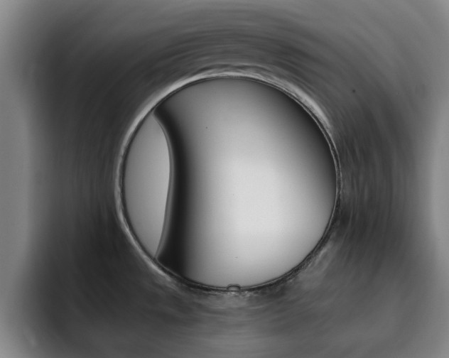 X0000093101533200709260918