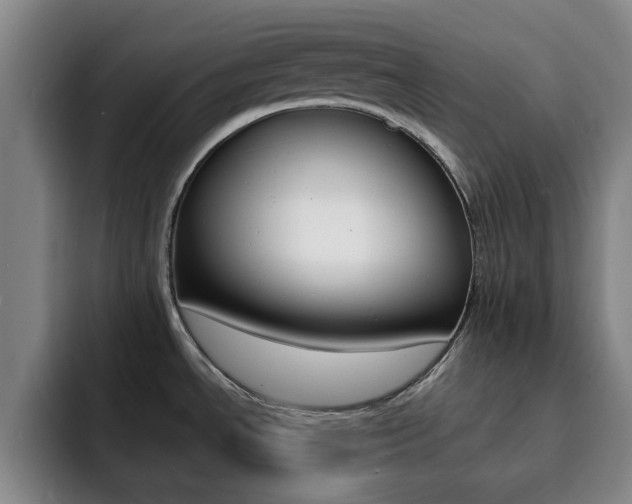 X0000093101534200709260918