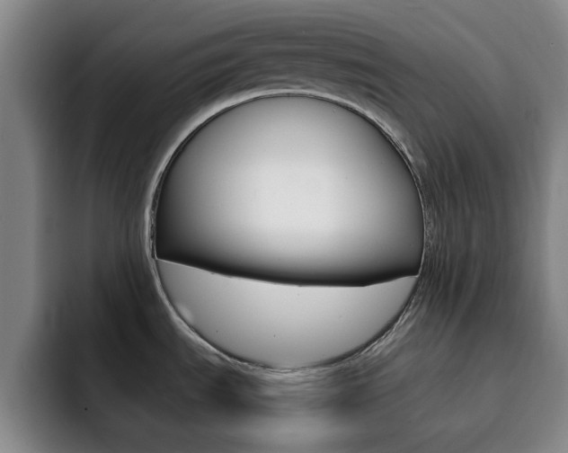 X0000093101535200709260918