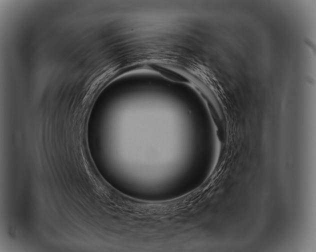 X0000093100001200709261240