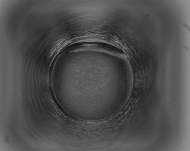 X0000093100002200709261240