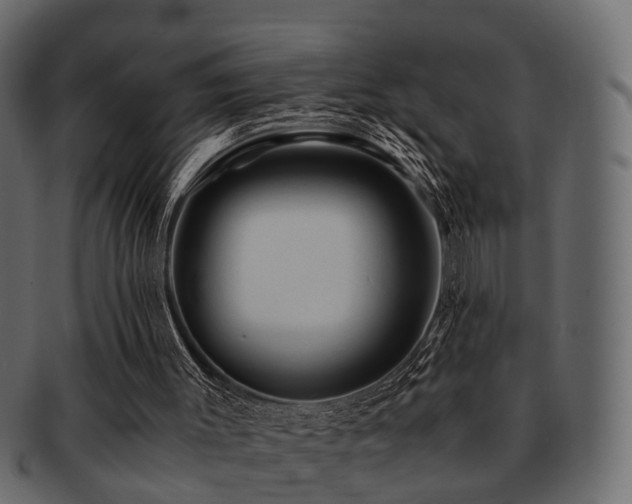 X0000093100003200709261240