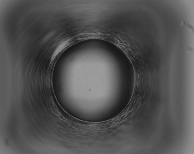 X0000093100004200709261240