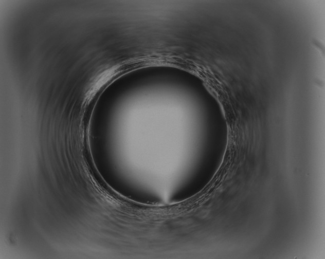 X0000093100005200709261240