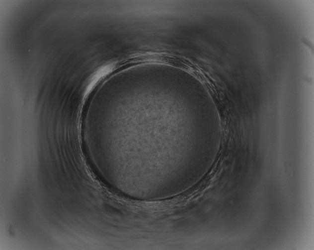 X0000093100006200709261240