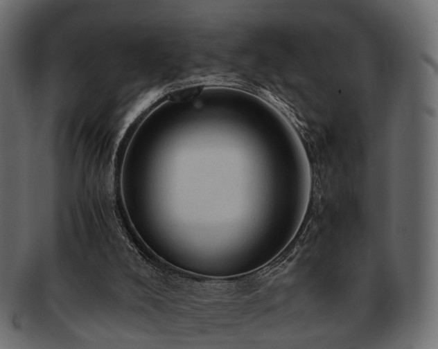 X0000093100008200709261240