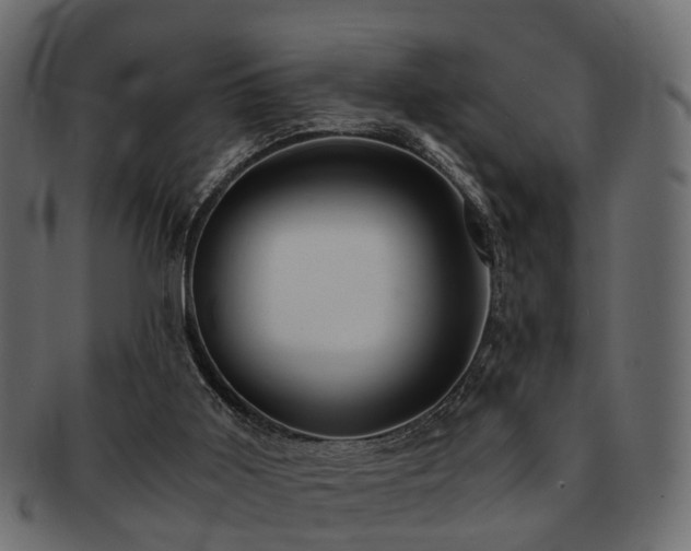 X0000093100011200709261240