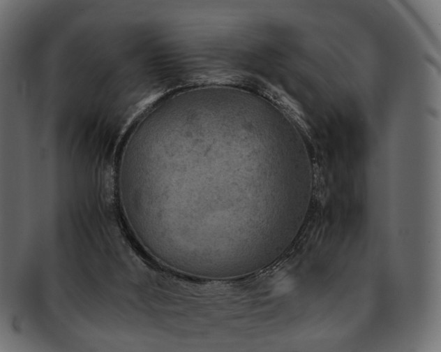X0000093100012200709261240