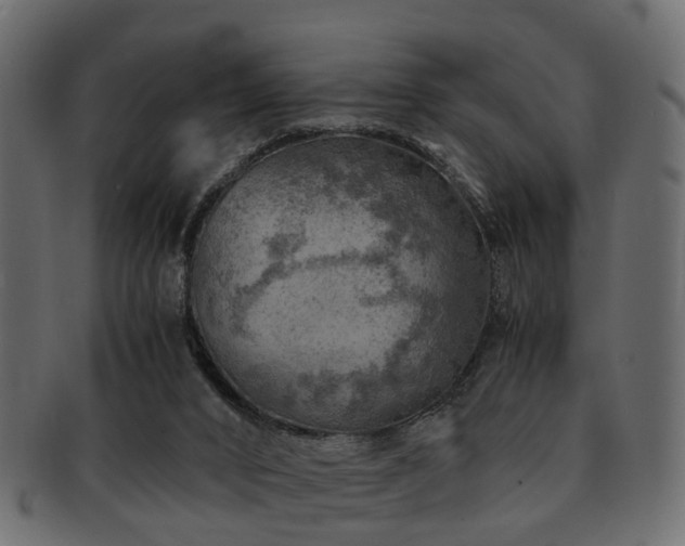 X0000093100016200709261240