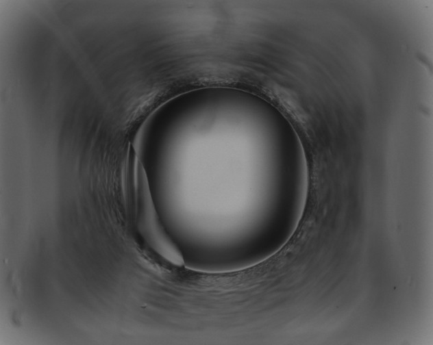 X0000093100017200709261240