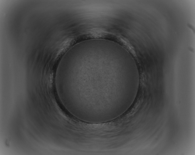 X0000093100018200709261240