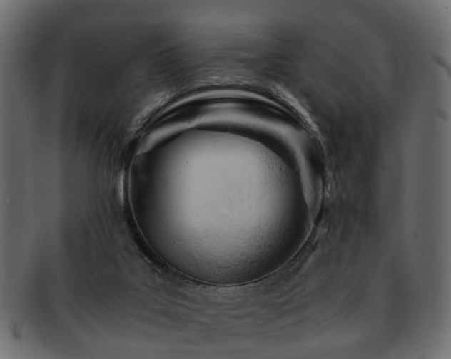 X0000093100019200709261240