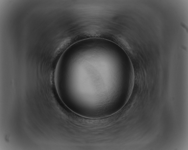 X0000093100023200709261239