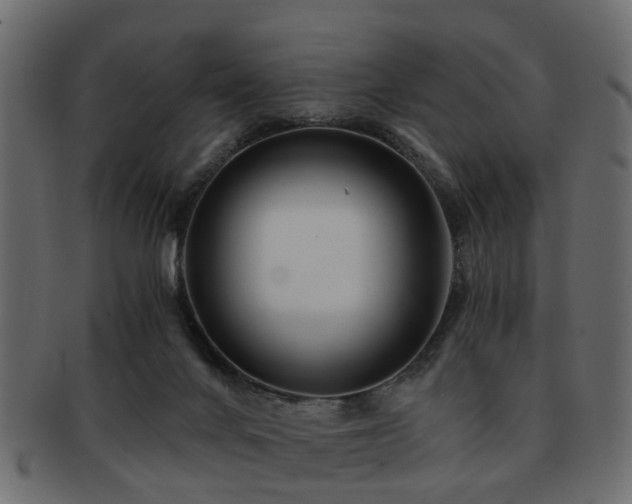 X0000093100024200709261239