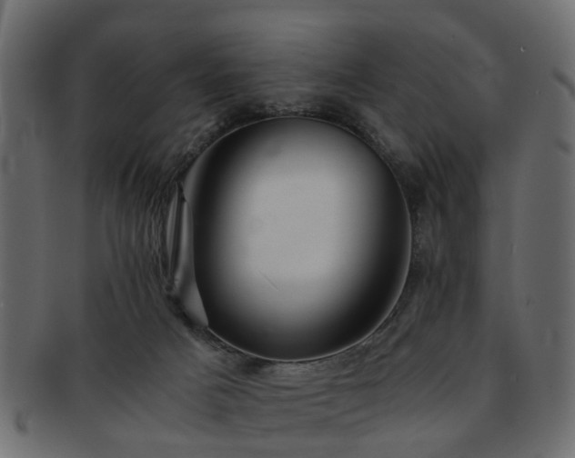 X0000093100025200709261239