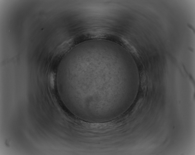 X0000093100026200709261239