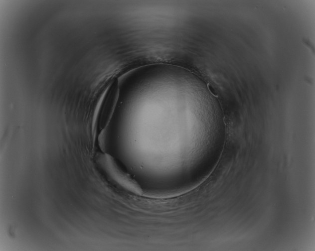 X0000093100027200709261239