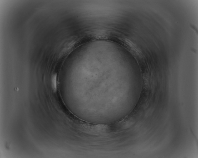 X0000093100028200709261239