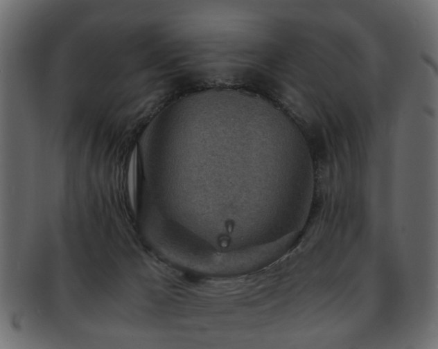 X0000093100029200709261239