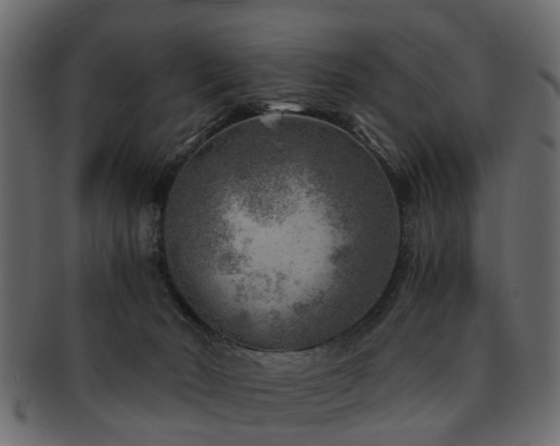 X0000093100030200709261239