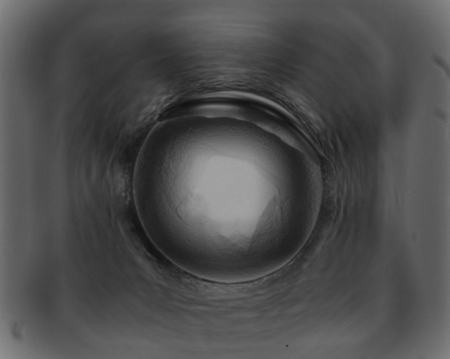X0000093100031200709261239