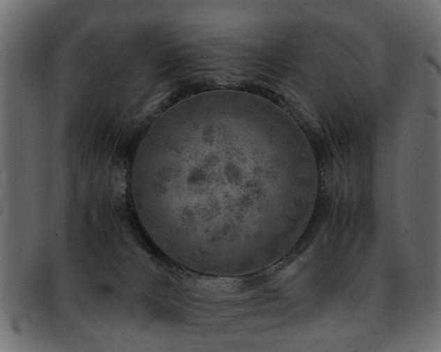 X0000093100032200709261239
