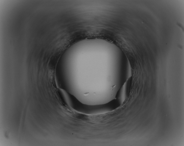 X0000093100033200709261239