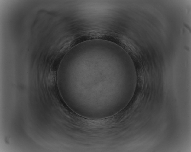 X0000093100034200709261239