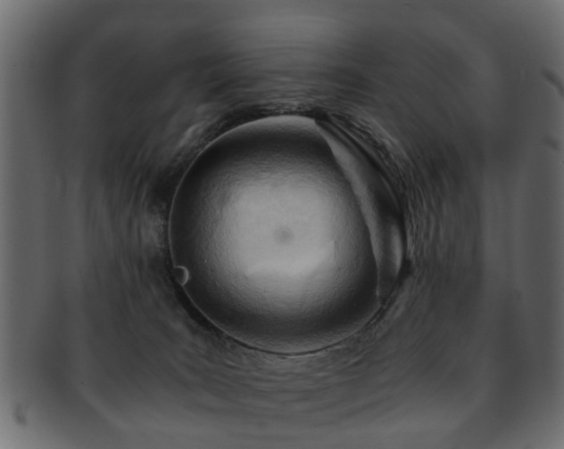 X0000093100035200709261239