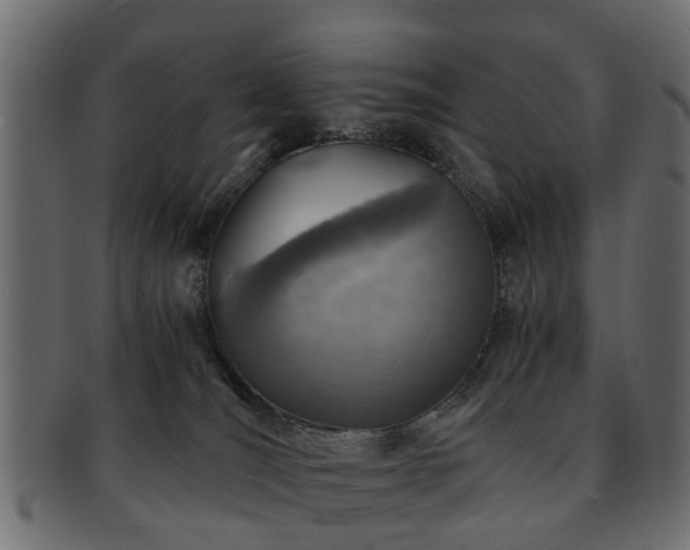 X0000093100036200709261239