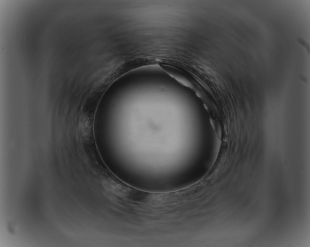 X0000093100037200709261239
