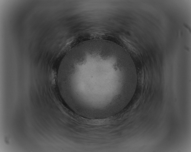 X0000093100038200709261239
