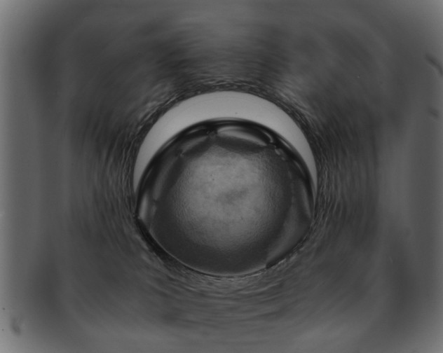 X0000093100039200709261239