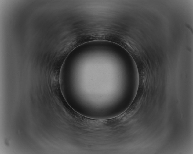 X0000093100040200709261239
