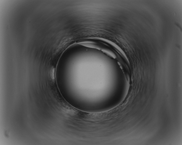 X0000093100041200709261239