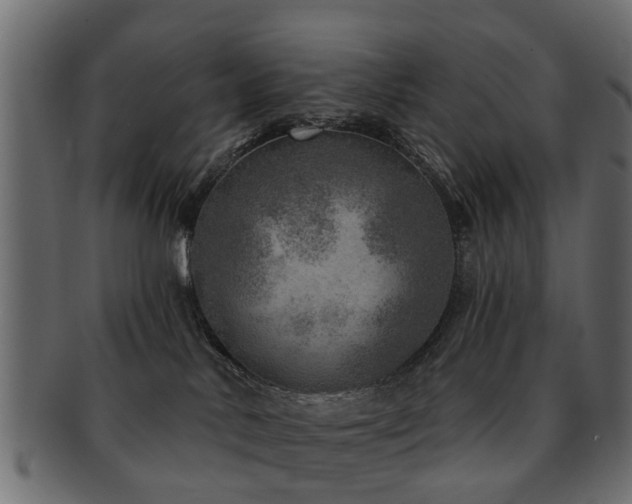 X0000093100042200709261239