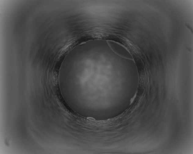 X0000093100043200709261239