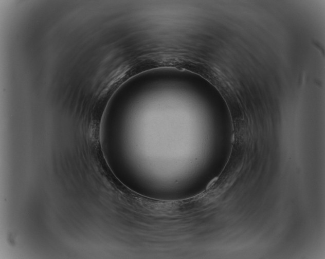 X0000093100044200709261239