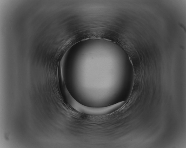 X0000093100045200709261239