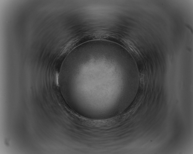 X0000093100046200709261239