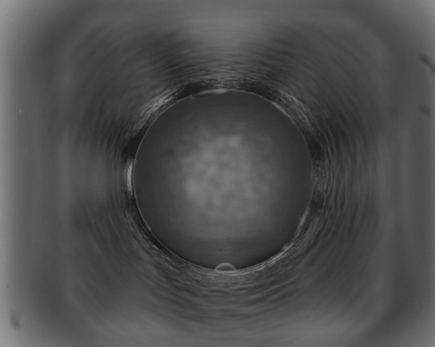 X0000093100047200709261239