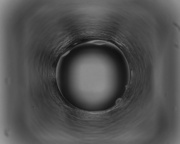 X0000093100048200709261239